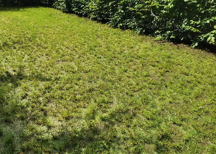 Appartement Near Fair And In Few Min, With Garden Frankfurt am Main